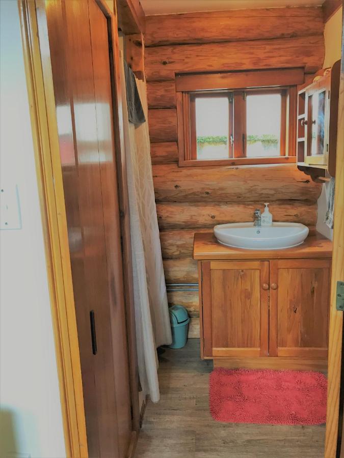 Tree Hut Cottage Masterton Exteriér fotografie