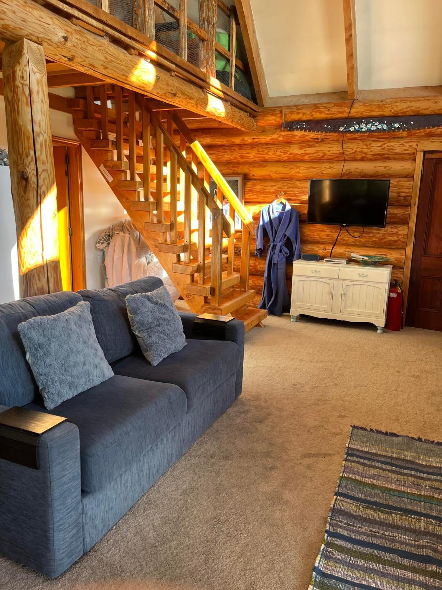 Tree Hut Cottage Masterton Exteriér fotografie